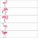 Flamingos