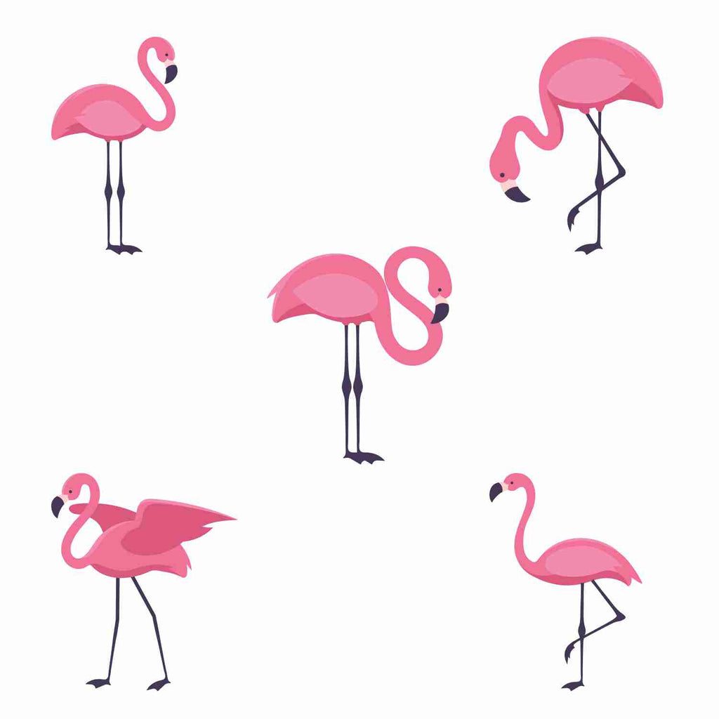 Flamingos